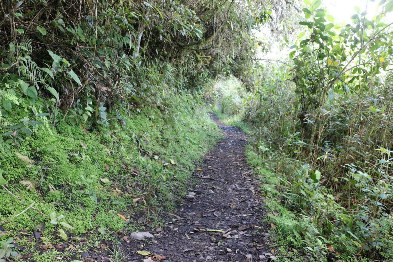 Llactapata Lodge Overlooking Machu Picchu - Camping - Restaurant Salcantay المظهر الخارجي الصورة